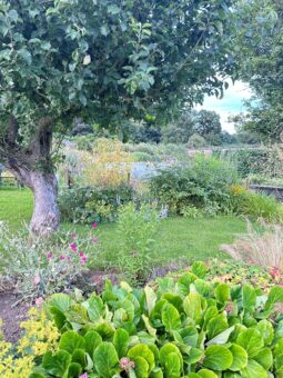 Luton Hoo Walled Garden